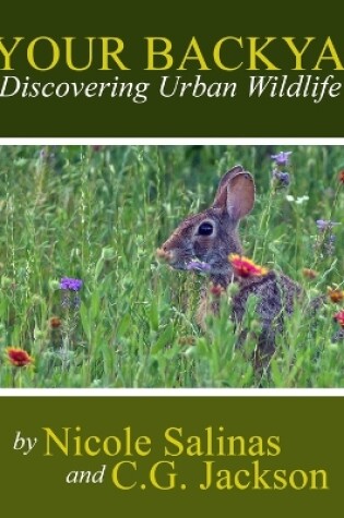 Cover of In Your Backyard: Discovering Urban Wildlife