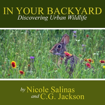 Book cover for In Your Backyard: Discovering Urban Wildlife