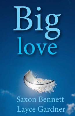 Book cover for Big Love