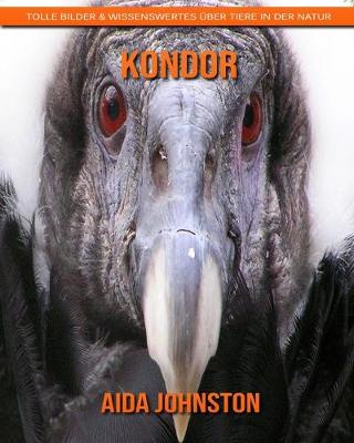 Book cover for Kondor