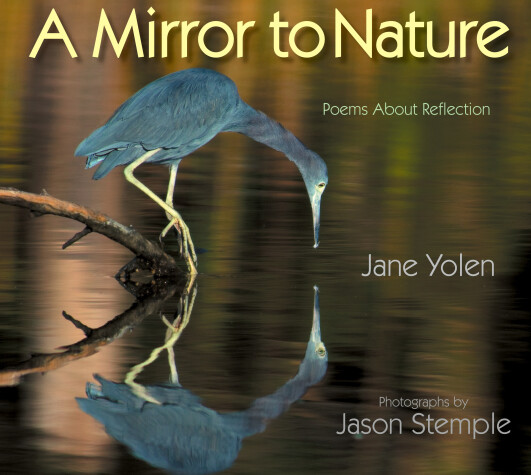 Book cover for Mirror to Nature, A