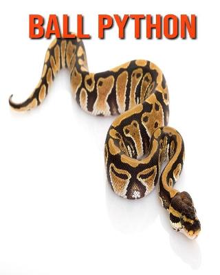 Book cover for Ball Python