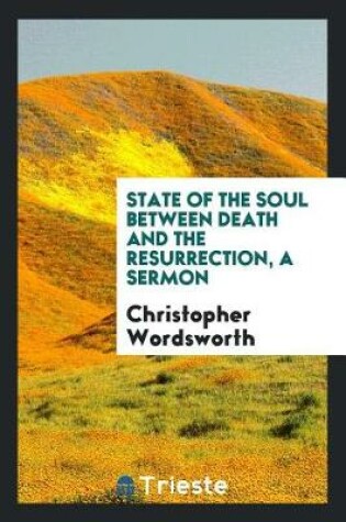 Cover of State of the Soul Between Death and the Resurrection, a Sermon