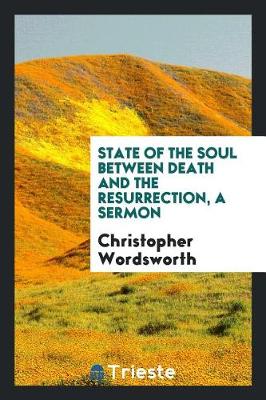 Book cover for State of the Soul Between Death and the Resurrection, a Sermon