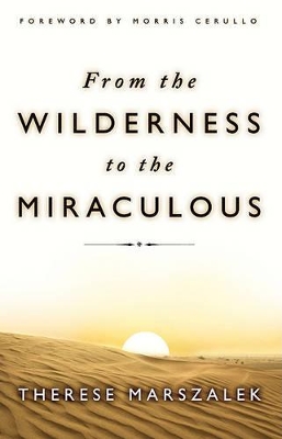 Book cover for From the Wilderness to the Miraculous