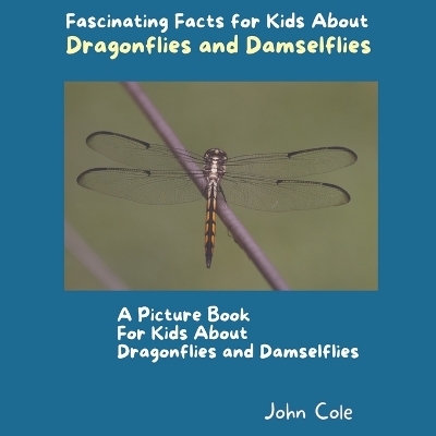 Book cover for A Picture Book for Kids About Dragonflies and Damselflies