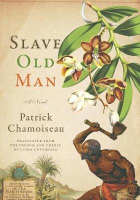 Book cover for Slave Old Man