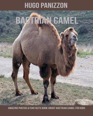 Book cover for Bactrian Camel