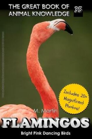 Cover of Flamingos
