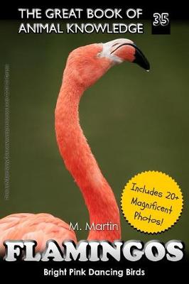 Book cover for Flamingos