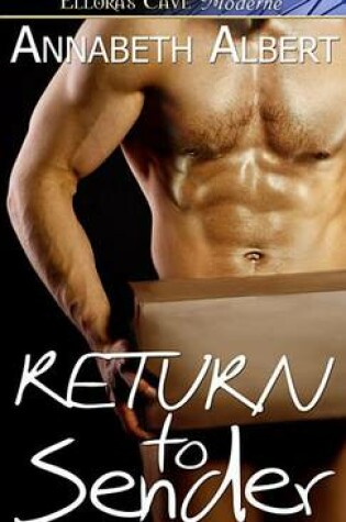 Cover of Return to Sender