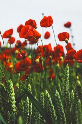 Book cover for Red Poppies Journal