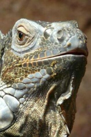 Cover of Green Iguana Portrait Lizard Journal