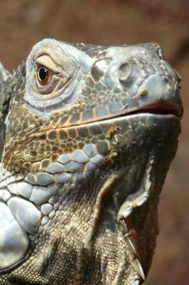 Book cover for Green Iguana Portrait Lizard Journal