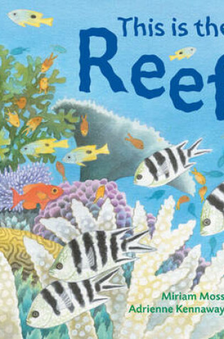 Cover of This is the Reef