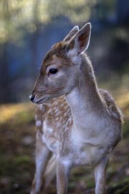 Book cover for Precious Little Fawn Baby Animal Journal