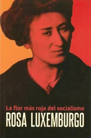 Cover of Rosa Luxemburgo