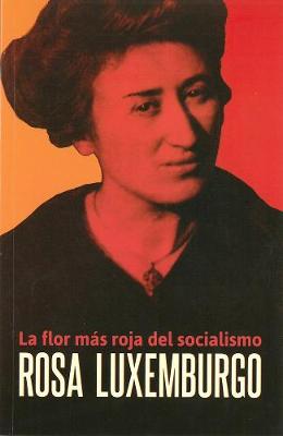 Book cover for Rosa Luxemburgo