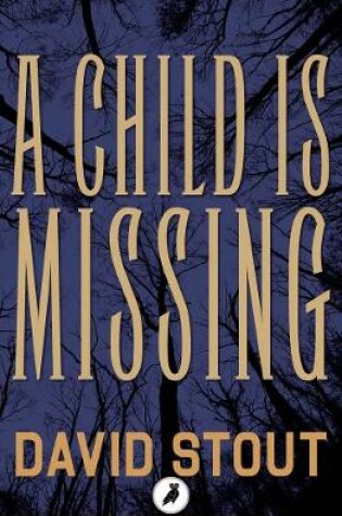 Cover of A Child is Missing
