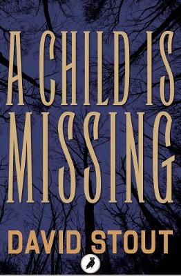 Book cover for A Child is Missing