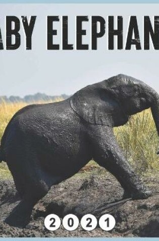 Cover of baby elephants