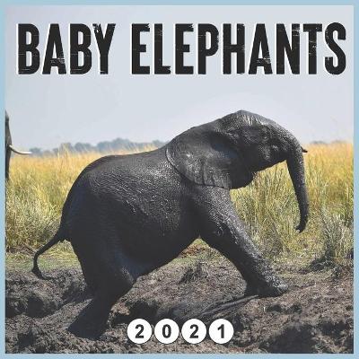 Book cover for baby elephants