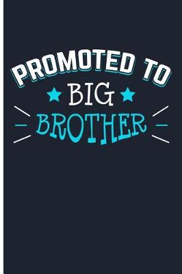 Book cover for Promoted To Big Brother