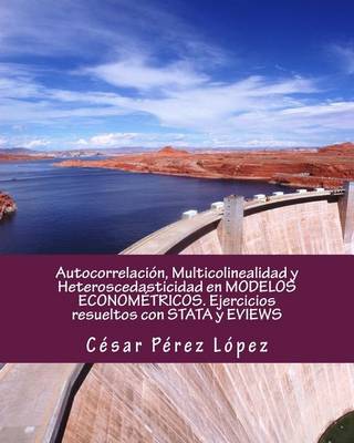 Book cover for Autocorrelacion, Multicolinealidad y Heteroscedasticidad En Modelos Econometricos. Ejercicios Resueltos Con Stata y Eviews