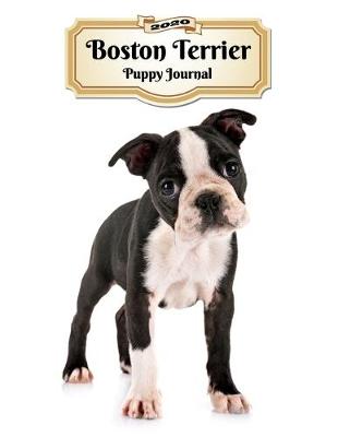 Book cover for 2020 Boston Terrier Puppy Journal