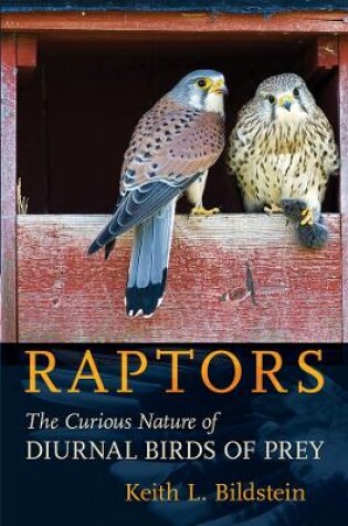 Cover of Raptors