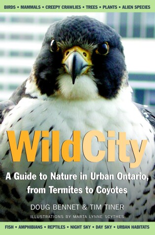 Cover of Wild City