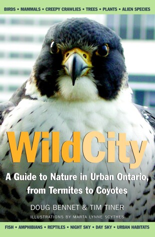 Book cover for Wild City