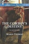Book cover for Cowboy's Destiny