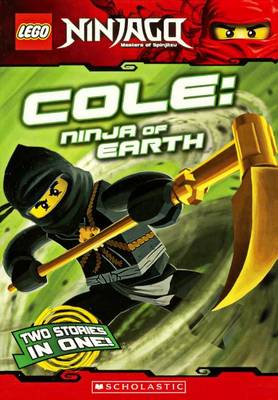 Book cover for Cole: Ninja of the Earth