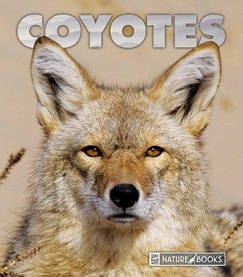 Book cover for Coyotes