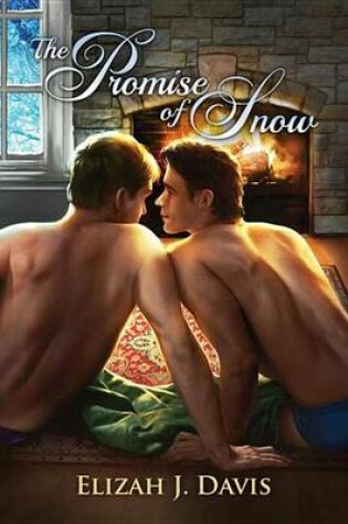 Cover of The Promise of Snow