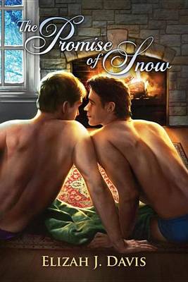 Book cover for The Promise of Snow