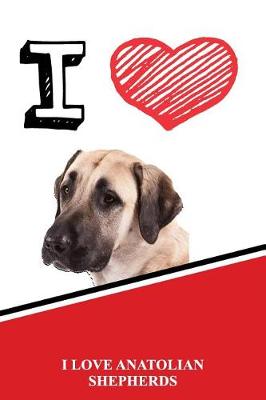 Book cover for I Love Anatolian Shepherds