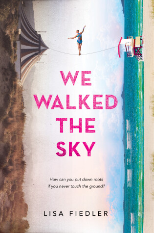 Cover of We Walked the Sky