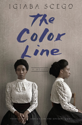 Book cover for The Color Line