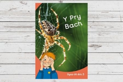 Book cover for Dyna Chi Dric: Y Pry Bach