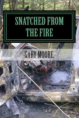 Book cover for Snatched from the fire