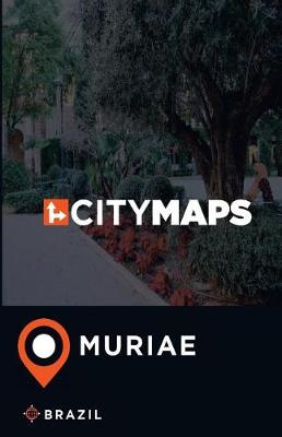 Book cover for City Maps Muriae Brazil