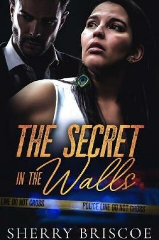 Cover of The Secret In The Walls