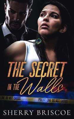 Book cover for The Secret In The Walls