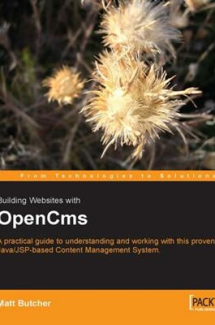 Cover of Building Websites with OpenCms