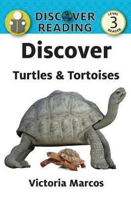 Book cover for Discover Turtles & Tortoises