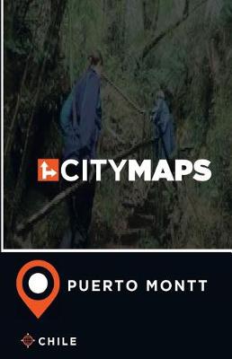 Book cover for City Maps Puerto Montt Chile