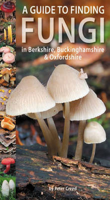 Book cover for A Guide to Finding Fungi in Berkshire, Buckinghamshire and Oxfordshire
