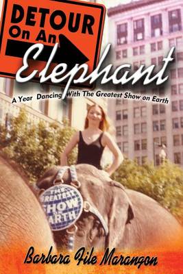 Book cover for Detour On An Elephant